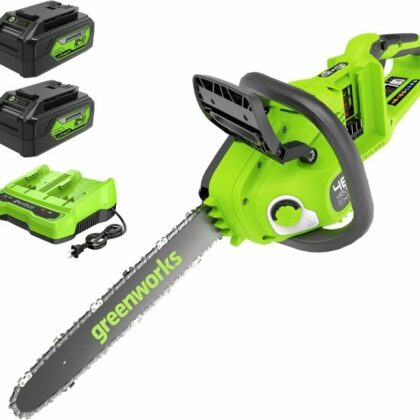 Greenworks Motosega 40V